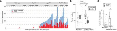 RET is a sex-biased regulator of intestinal tumorigenesis